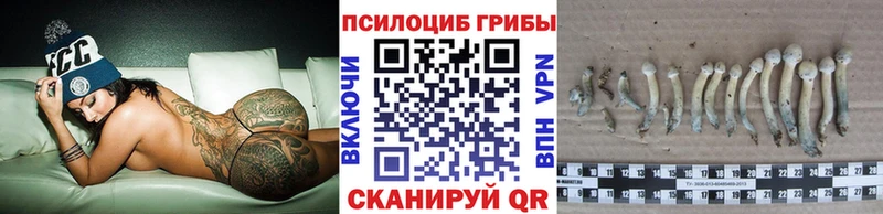 блэк спрут как войти  Кондрово  дарк нет как зайти  Псилоцибиновые грибы прущие грибы 