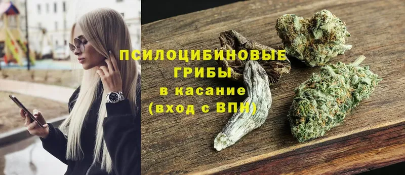 omg сайт  Кондрово  Галлюциногенные грибы MAGIC MUSHROOMS  где купить  